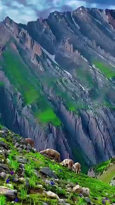 Nature photography and pictures, nature lover