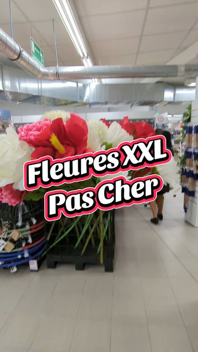 fleurs xxl pas cher
