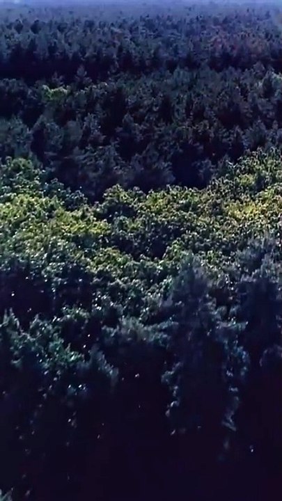 Alpha's Tender Torture stardusttv