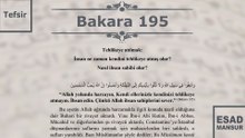 Esad Mansur - Bakara Suresi Tefsiri 195