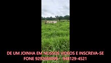 FAZENDA COM 238 ALQUEIRÃO A VENDA CMC