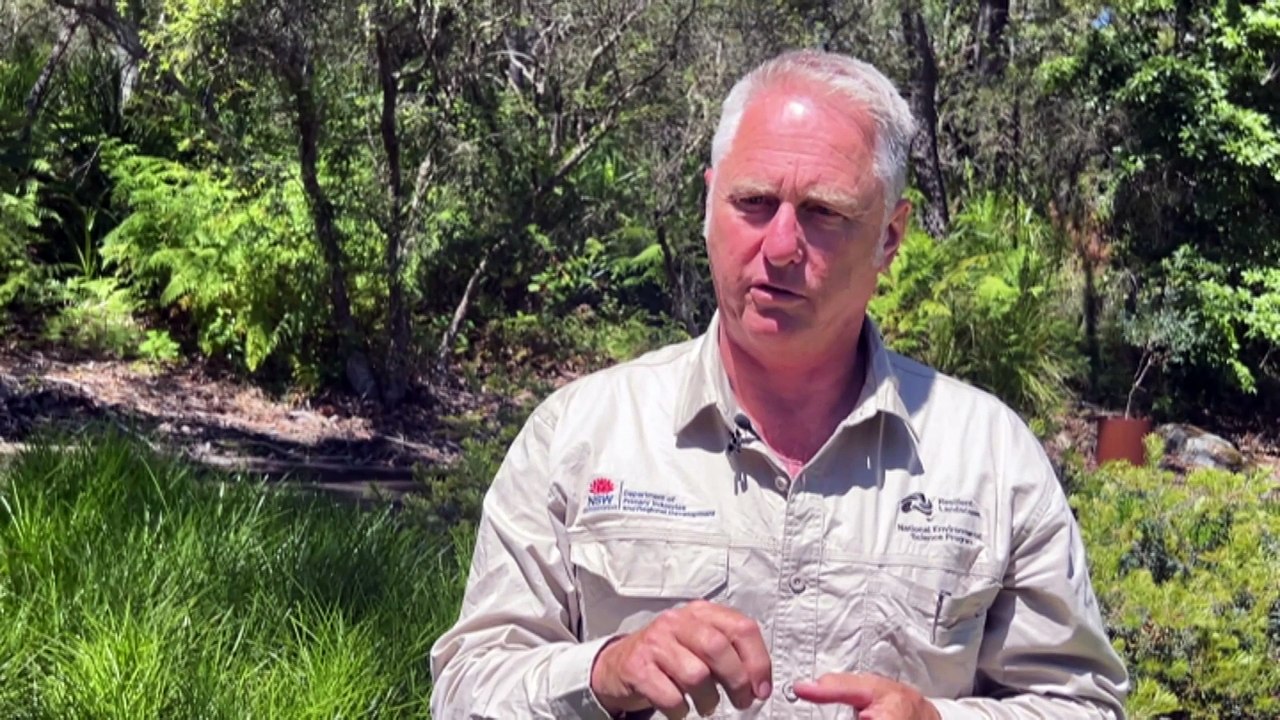 Researchers use foxes to gain new insight into protecting native wildlife