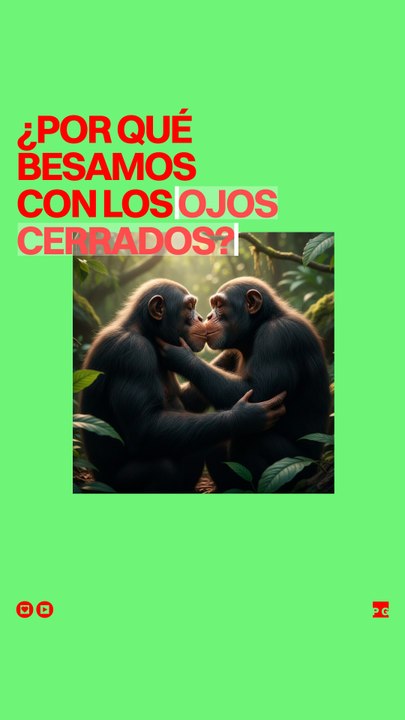 Por qué besamos con los ojos cerrados, explicado con primates