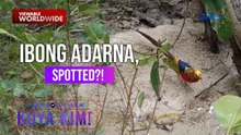 Ibong Adarna, natagpuan sa isla ng Antique!? | Dami Mong Alam, Kuya Kim!