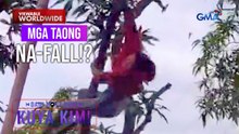 Babaeng namimitas ng mangga sa puno, nahulog! | Dami Mong Alam, Kuya Kim!