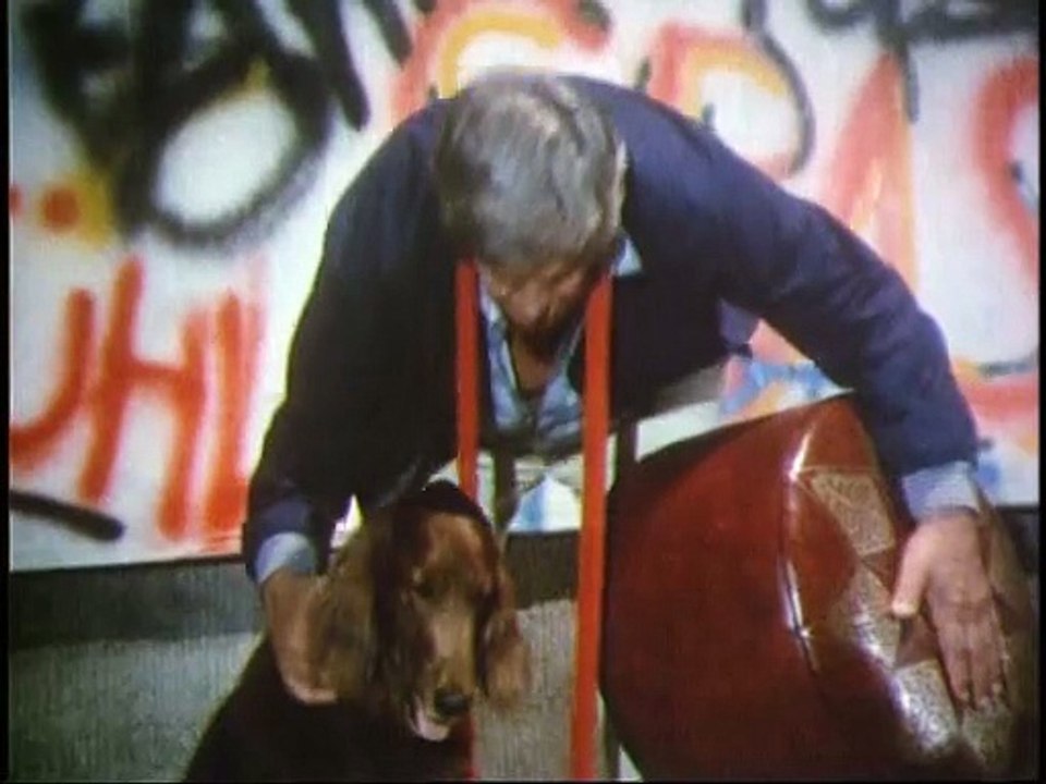 Drei Damen vom Grill S06E08-Ein Herz Für Pico