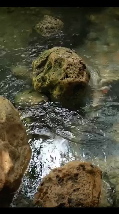 Musique pour Dormir Profondément : Ondes de Guérison pour un Sommeil Réparateur et Sans Interruption