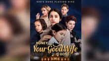 Honey, Your Good Wife is Gone FULL EP (2026)