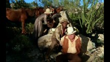 Bonanza 12x19-El desesperado-HD