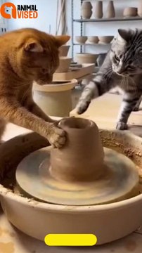 Pottery Class Was Going Great… Until It Wasn’t | Funny Moment