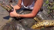 Massive 19-Foot Green Anaconda Encounter in Colombia! 🐍