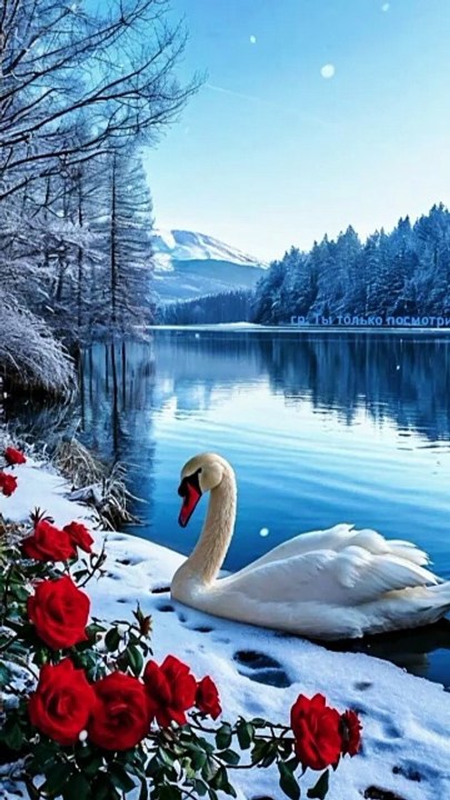 Qaseeda Burda Shareef | Nature Beauty | Qaseeda | #naatstatus #nature #arabicmusic #naat #viralvideo