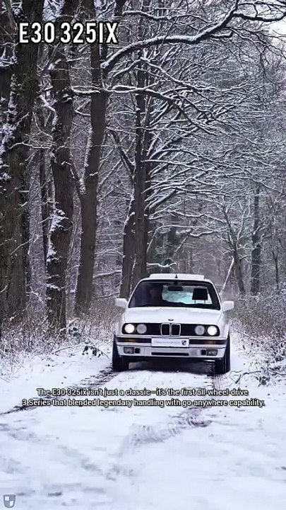 BMW E30 325iX