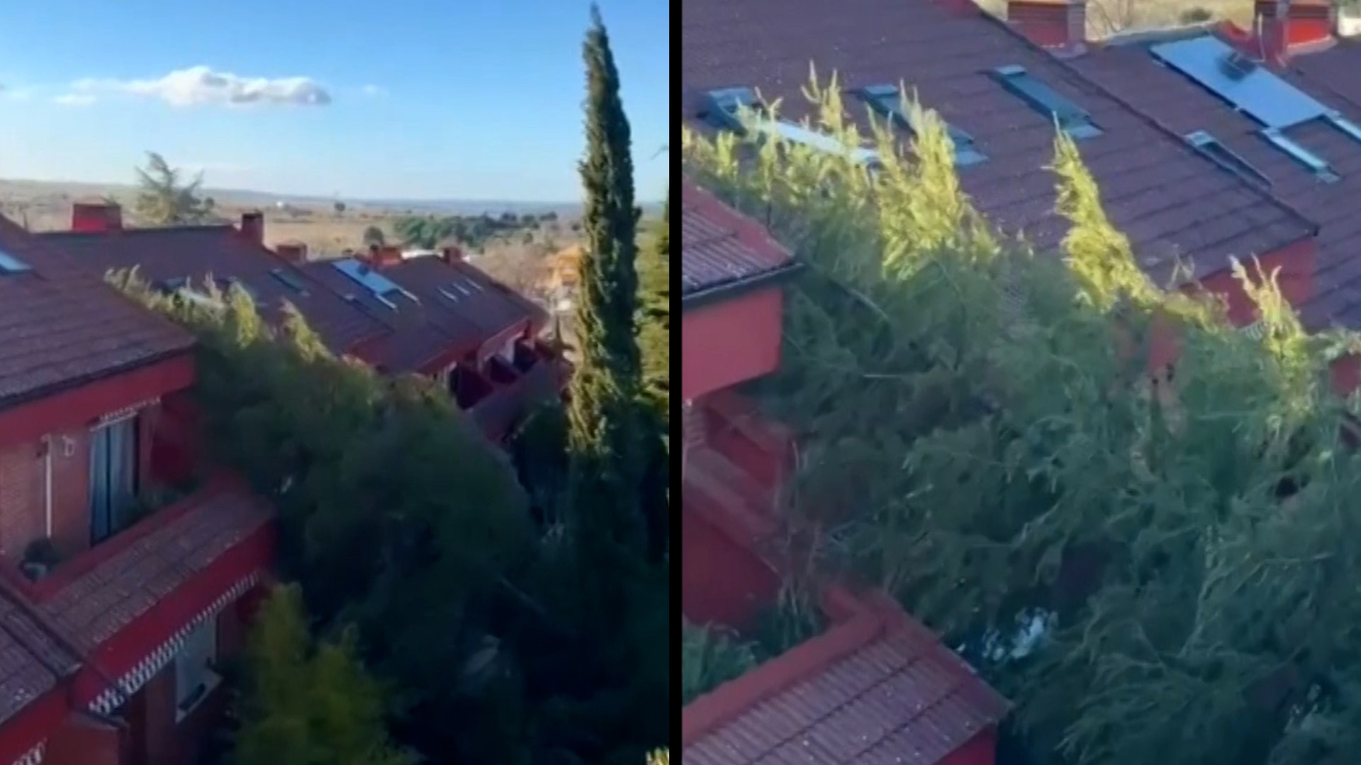 La sierra estar� este s�bado en alerta amarilla por nieve y naranja por viento, seg�n Aemet

La sierra permanecer� este s�bado en alerta amarilla por nevadas a partir de los 1.100 o 1.200 metros de altitud y en alerta naranja por fuertes rachas de viento, seg�n ha informado la Agencia Estatal de Meteorolog�a (Aemet). El temporal ha provocado ya la suspensi�n de varias l�neas de autob�s y las autoridades recomiendan evitar desplazamientos innecesarios en esta zona.

De acuerdo con la predicci�n meteorol�gica, el episodio de viento se mantendr� activo hasta las 15:00 horas, con rachas que podr�an superar los 100 kil�metros por hora en �reas de la sierra. Esta situaci�n ha llevado a activar el aviso naranja por riesgo importante en zonas de monta�a, mientras que en el �rea metropolitana y el Corredor del Henares se mantiene el aviso amarillo por fuertes vientos.

Adem�s, la cota de nieve se situar� entre los 1.100 y 1.200 metros, lo que podr�a afectar a puertos de monta�a y carreteras secundarias. Las autoridades insisten en extremar la precauci�n, consultar el estado del tr�fico antes de viajar y seguir las recomendaciones oficiales para evitar incidencias durante este episodio de meteorolog�a adversa.