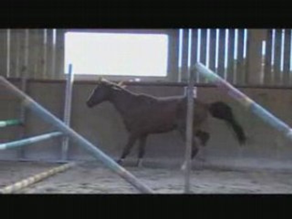 ra statina del'aurore seance#1