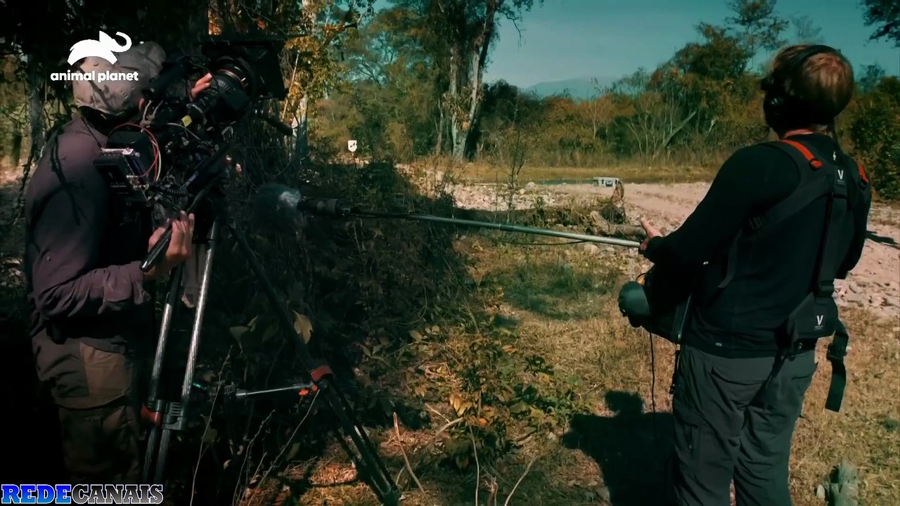 lendas selvagens- o ucumar
