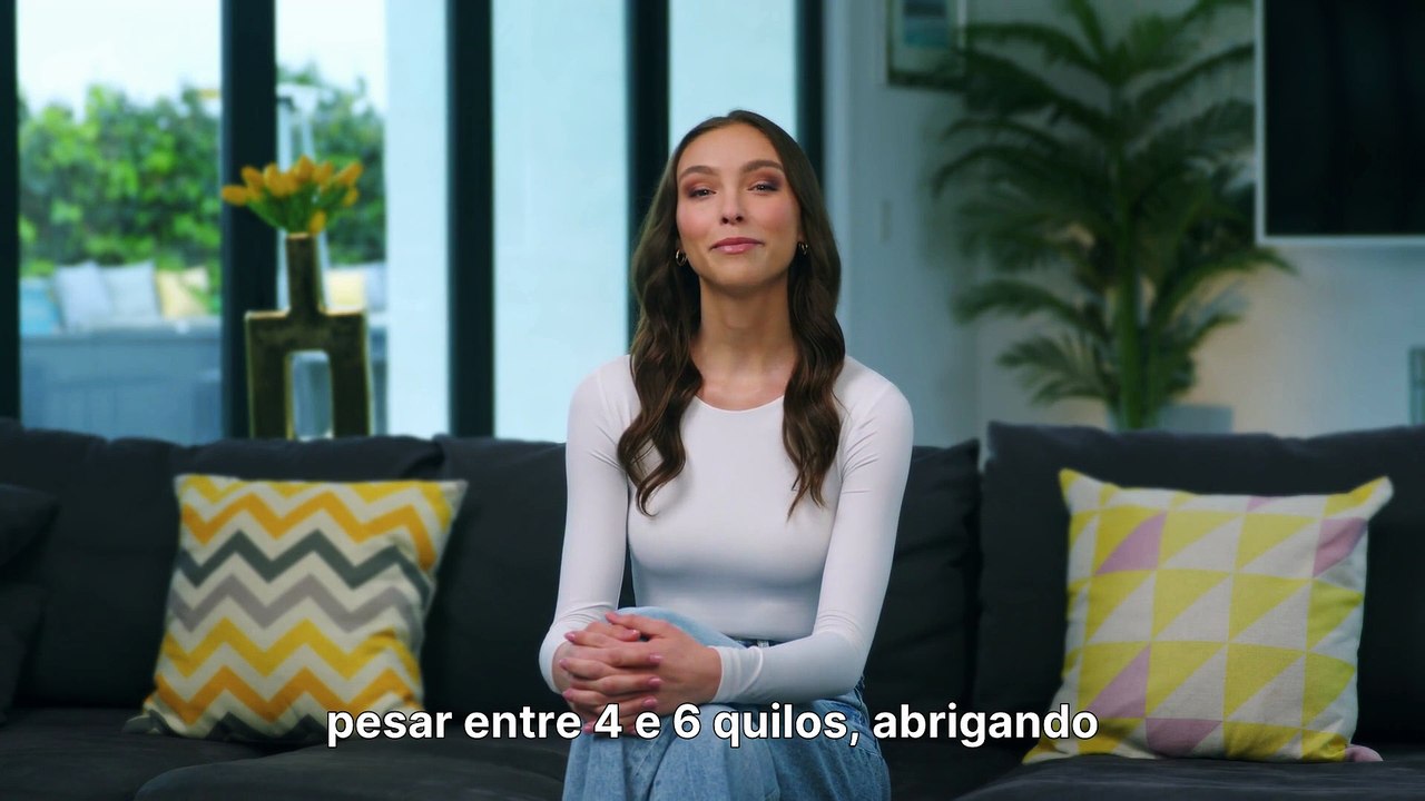 Elefantes e Espelhos