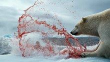 Frozen Ocean Kill – Arctic Survival Horror