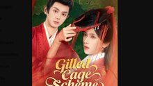 Gilded Cage Scheme – FULL HD MOVIE [Eng Sub]