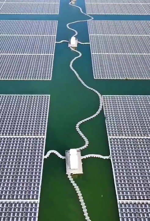 ✨🇨🇳 En Chine, des panneaux solaires installés sur l’eau produisent de l’électricité tandis que des poissons, crevettes et crabes sont élevés en dessous. ⚡🐟🦐🦀 🌊☀️ Une solution énergétique solaire considérée comme idéale.