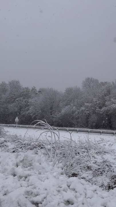 Comme il neige ❄️