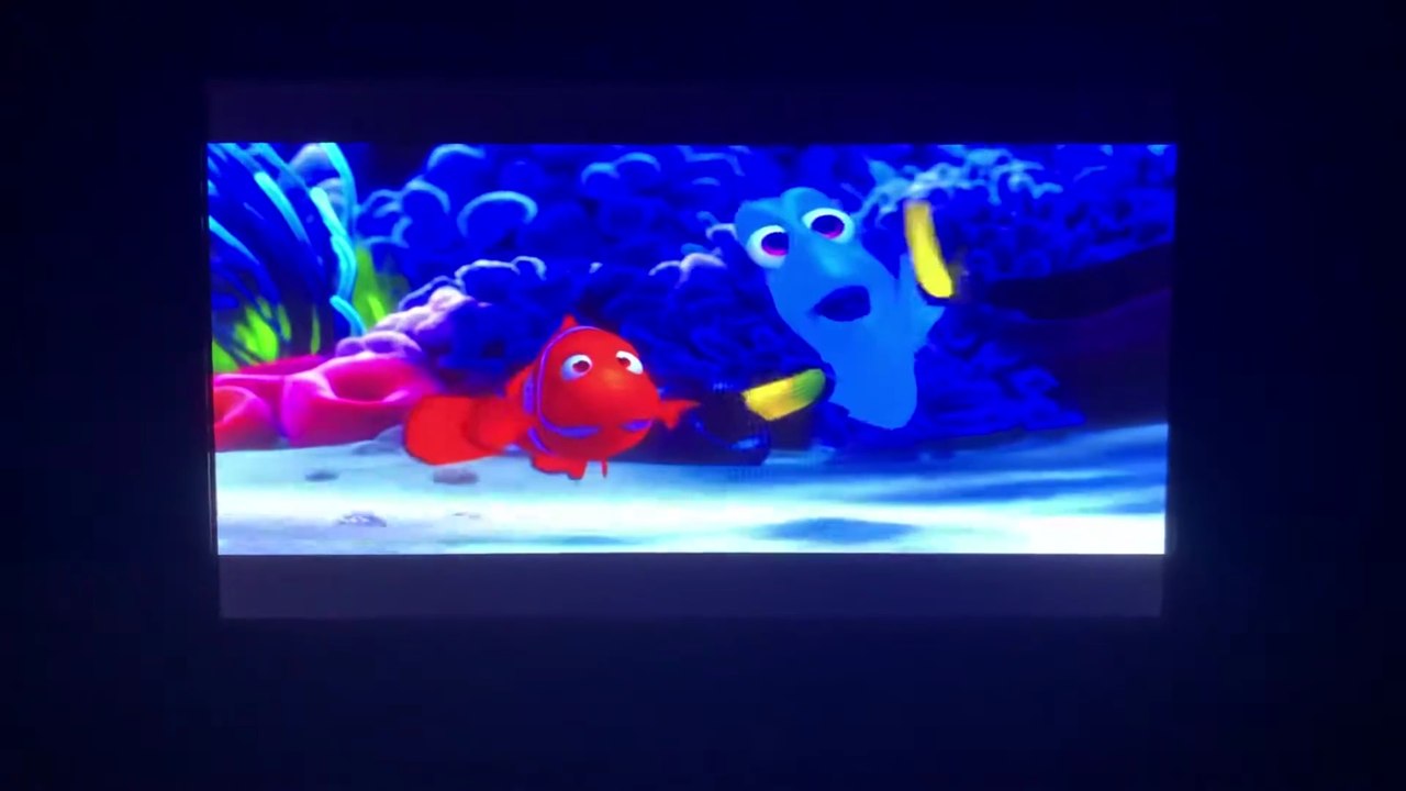 Finding Nemo (2003) Back to the Reef Scene