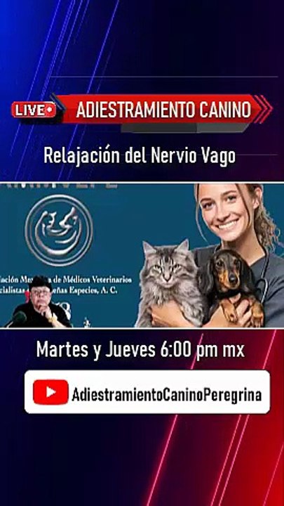 Relajación del Nervio Vago para controlar problemas de comportamiento