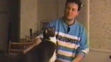 Cats very interestin video about cats. rather fun, the video