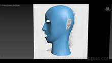Treliving: 3DS MAX Practice Polygon Modeling Head Model Video #30 (02-15-2026)
