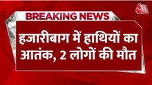 हजारीबाग में जंगली हाथियों को रेस्क्यू करने पहुंची टीम का हादसा, 2 लोगों की मौत