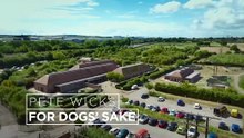 Pete Wicks: For Dogs' Sake - Season 3 Episode 5 - Crumble's Big Adventure