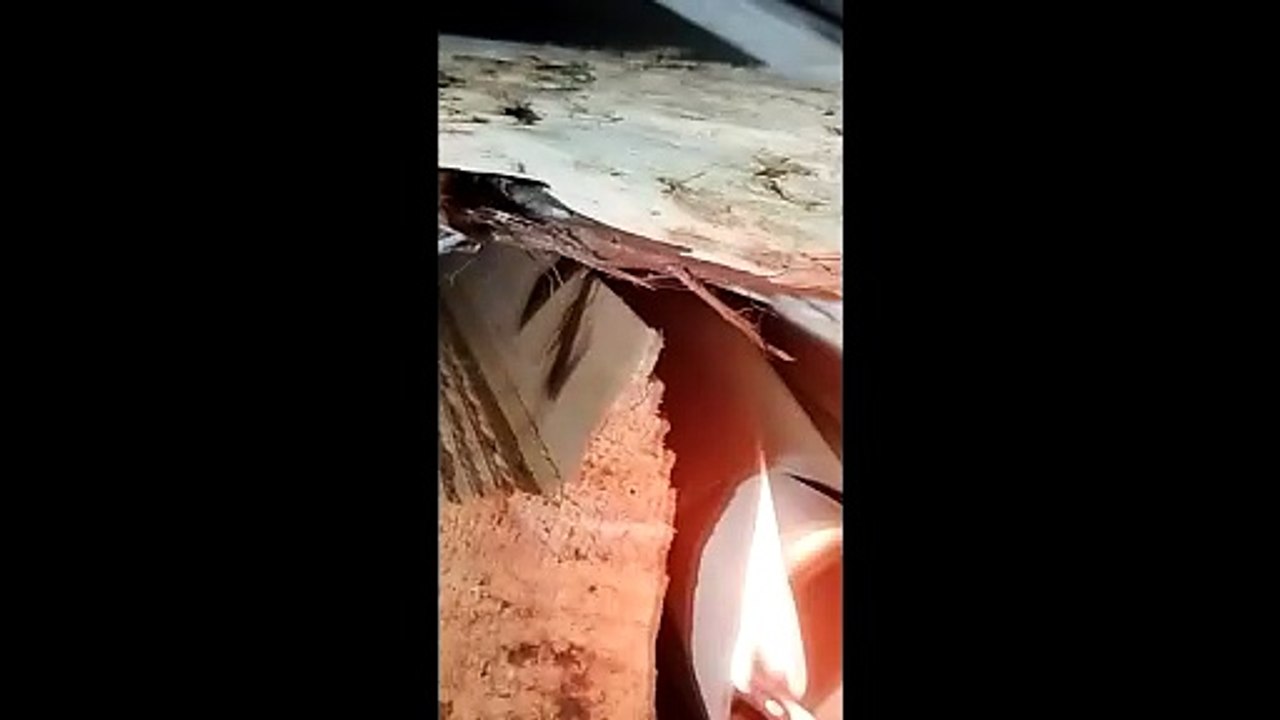 Comment allumer un poêle sans allume feu naturellement