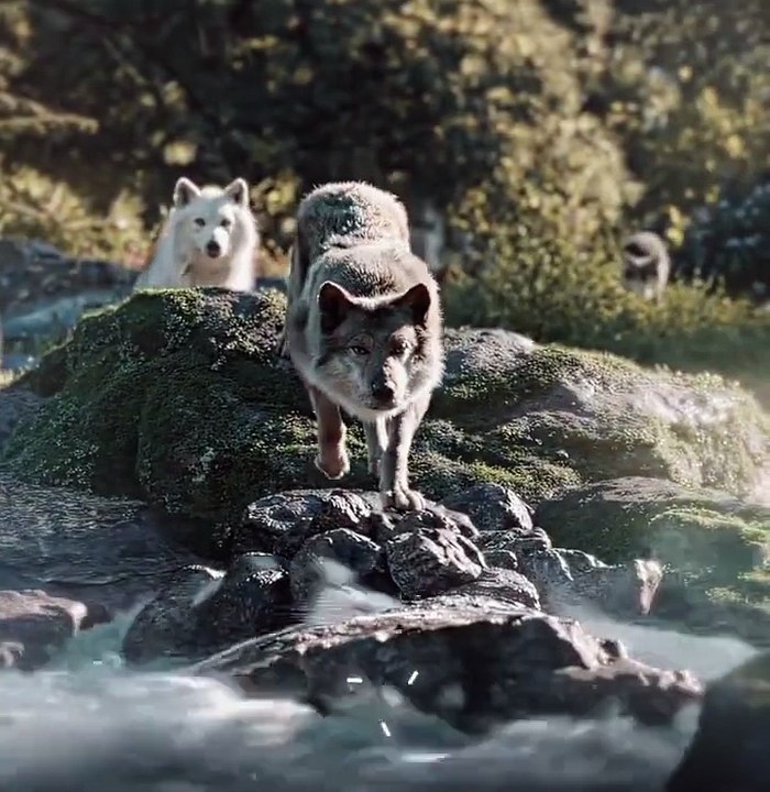 #HollywoodMovies #MovieEdits #EpicMoments #CinematicEdits #ActionMovies #ViralEdits #FilmClips #reel