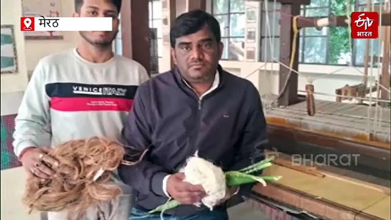 न कॉटन, ना खादी.... मेरठ में बन रही केले और स्नैक प्लांट से साड़ी, जानिए इसकी खासियत