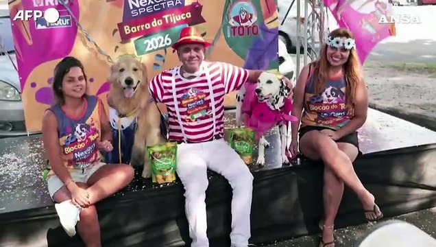 Brasile, cani in maschera rubano la scena al Carnevale di Rio