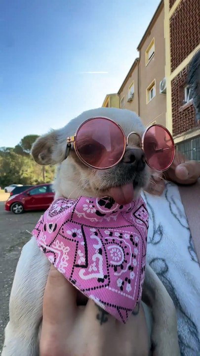 Como enamorar una Mujer - VERSION GITANO #gitanos #humor #pareja #amor #viral #comunidadgitana