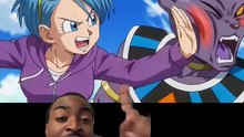 bulma vs beerus