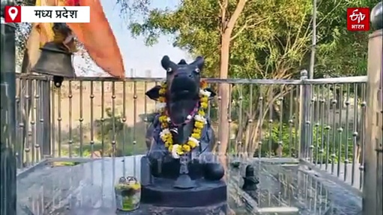 श्योपुर के भूतेश्वर महादेव मंदिर में नाग-नागिन करते हैं पूजा, पांडवों ने की थी शिवलिंग की स्थापना!