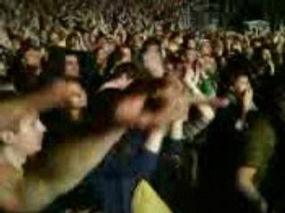 The Hives FEST Papillons END (Return the favour)