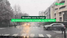Un manteau blanc s'installe sur Bruxelles, ce 15 fevrier 2026