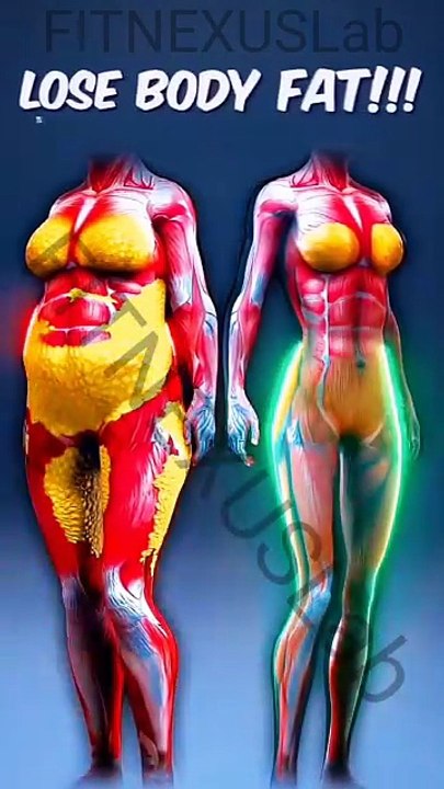 Drop Stubborn Body Fat FAST ⚡ Proven Method #fatloss #fitness #weightloss #shorts