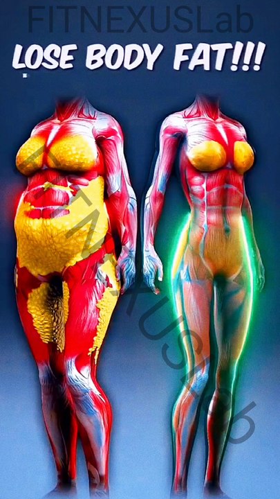 Melt Body Fat & Reveal Muscle 💪🔥 #fatloss #getlean #fitness #shorts