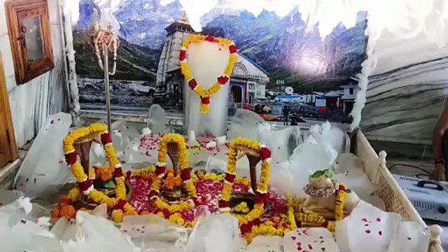 महाशिवरात्रि पर नागौर शिवमय, मंदिरों में दिनभर उमड़ा श्रद्धालुओं की श्रद्धा ज्वार