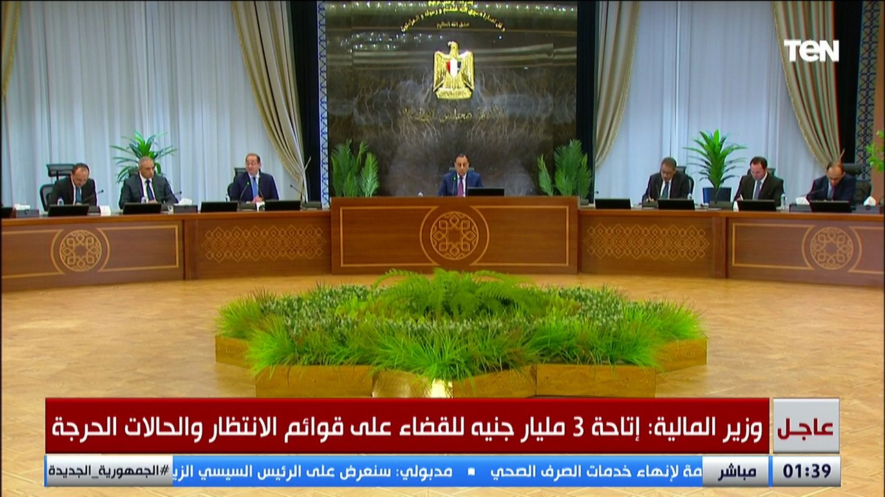 وزير المالية: توفير 4 مليار جنيه لزيادة سعر توريد إردب القمح من 2200 إلى 2350 جنيه