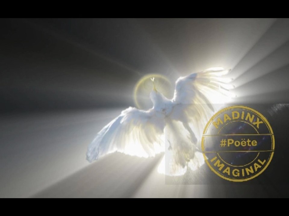 Requiem de miel ~ Album : Infans # passé sous silence