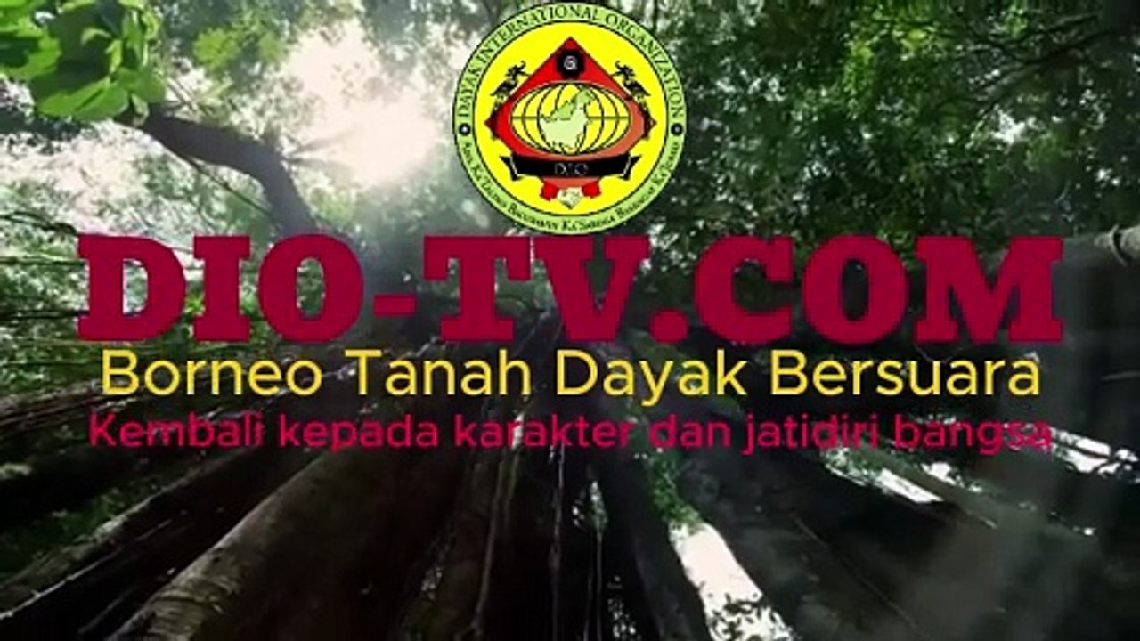 Emas Siman Bahar Bong Kin Pin Masuk Pabrik PT Simba Jaya Utama, Surabaya. Kenapa Harga Murah dari Antam?