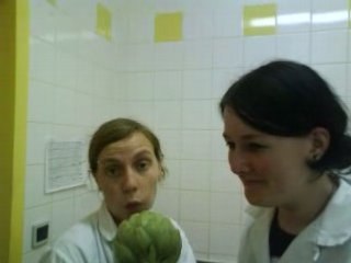 titi et gazou les foufou de bdp