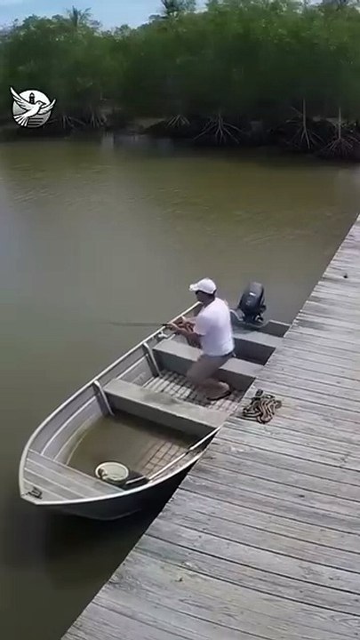 You Won’t Believe What Jumped Into This Boat 🐊