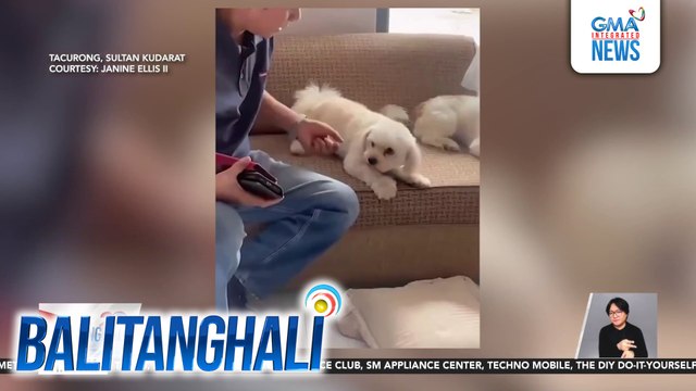 Alagang aso, kinagigiliwan kung paano bantayan ang pera ng kaniyang amo | Balitanghali