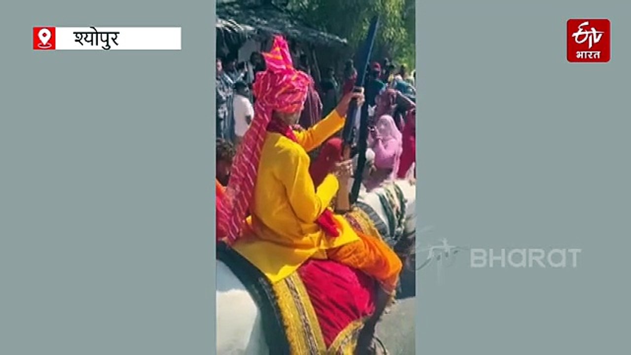 घोड़ी पर विधायक बाबू जंडेल, हाथ में बंदूक, नियम तोड़ शिव बारात में हर्ष फायरिंग